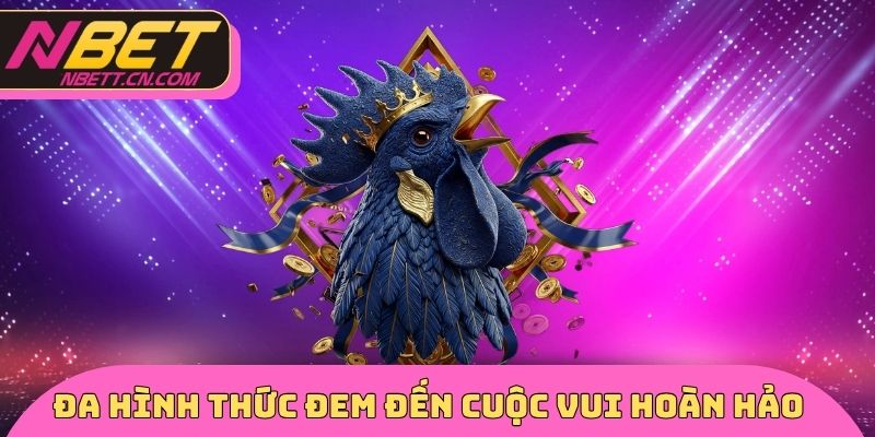 Đa dạng loại hình đem đến trải nghiệm hoàn hảo