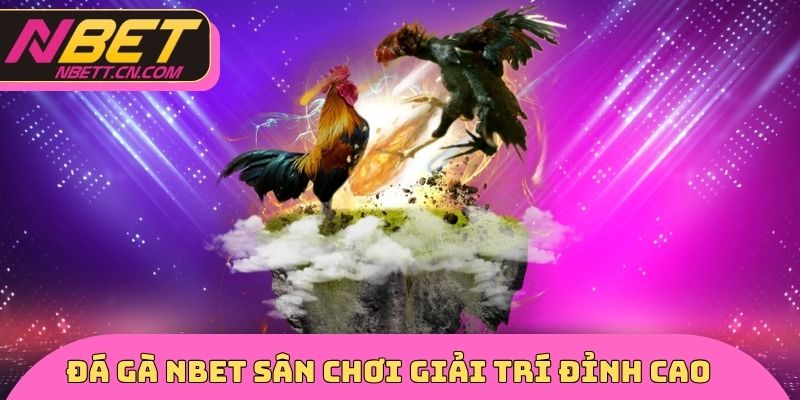 Đá gà NBET sân chơi giải trí đỉnh cao 