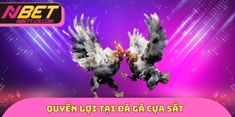 Quyền lợi tại đá gà cựa sắt