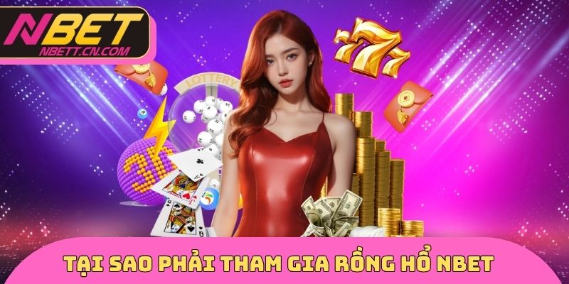 Tại sao phải tham gia rồng hổ NBET