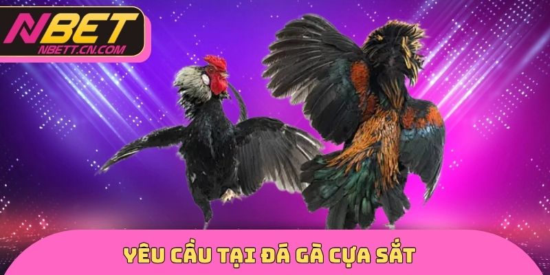 Yêu cầu tại đá gà cựa sắt